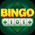 Bingo 101 App